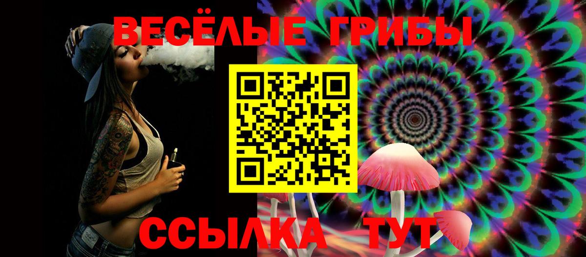 Великий Устюг  Галлюциногенные грибы мицелий  Вход с VPN 