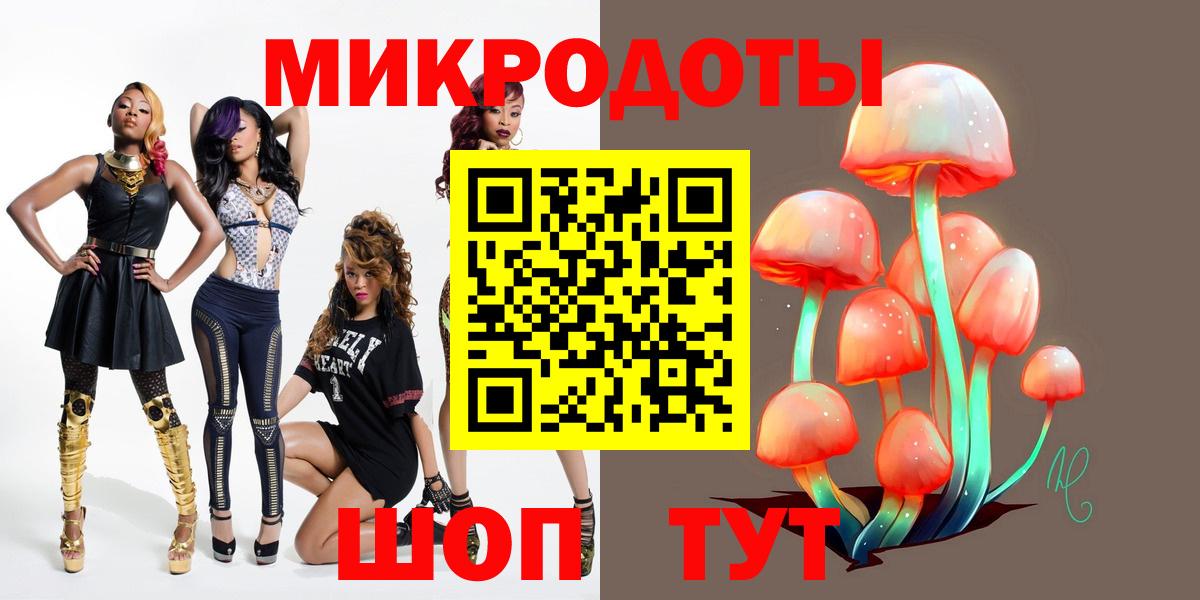 Галлюциногенные грибы Psilocybe Великий Устюг